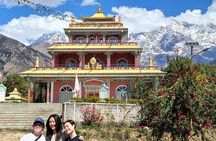 Guided Day Tour to Bir – Monasteries,Temple & Tea Garden Visit