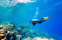 Beginner Scuba Diving in Alanya with Lunch and Transfer