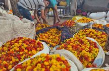 Secrets of the Pink City Old Jaipur Heritage Walking Tour