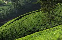 12 Days Private Escape Tour- Best of Sri Lanka