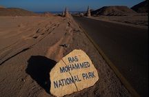 Bus Tour to Ras Mohammed National Park – Sharm El Sheikh