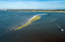 Crab Bank Island and Shark Tooth Tours in Charleston