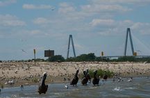Crab Bank Island and Shark Tooth Tours in Charleston