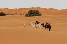 Marrakesh Morocco's Best: 3-Day's Merzouga Tour Experience
