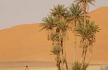 Marrakesh Morocco's Best: 3-Day's Merzouga Tour Experience