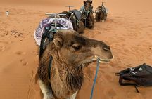 Marrakesh Morocco's Best: 3-Day's Merzouga Tour Experience
