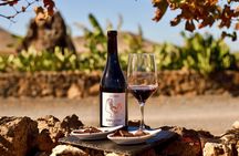 Fuerteventura: Wine Tasting and El Cotillo Afternoon Escape