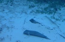 Anguilla Based: 1-Tank Group Night Dive (certification Required)