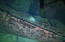 Anguilla Based: 1-Tank Group Night Dive (certification Required)