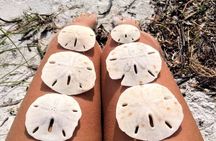 Island Hopping and Snorkeling Trip