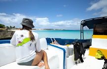Anguilla Based: 4-hr Private Snorkel & Sightseeing Charter