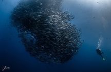 Baja Off Road Adventure and Cabo Pulmo Diving 