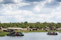 Chobe Day Trip