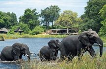 Chobe Day Trip