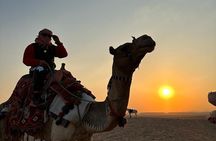 Cairo Tour Sunset in Sahara desert and quad bikes ( ATV ) ride 