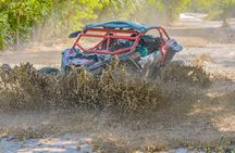 Shared Buggy Tour in Punta Cana