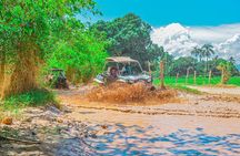 Shared Buggy Tour in Punta Cana