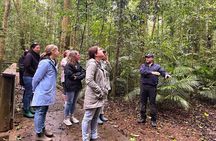 Atherton Tablelands: 2-Hour Private Aboriginal Culture Tour