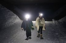 Evening Snowshoeing / Cross-country skiing Experience