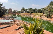 Crocoparc and Climbing Goats of Agadir Tour