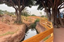 Crocoparc and Climbing Goats of Agadir Tour