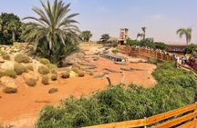 Crocoparc and Climbing Goats of Agadir Tour