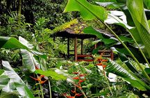 Caribbean Northern Circuit