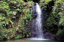 Tour to discover the lush North and waterfalls