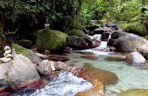 Tour to discover the lush North and waterfalls
