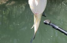 Kayak FISHING Down The Verde River Full Day 20 min from Sedona