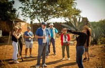 Ultimate tequila 2 day trip from Puerto Vallarta 