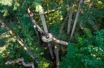 Capilano Suspension Brid, Lynn Canyon Park + 4 more sights Tour