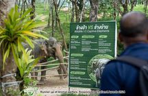 Khao Lak Ethical Elephant Observation Tour – No Riding