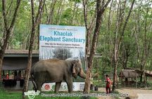Khao Lak Ethical Elephant Observation Tour – No Riding