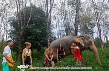 Khao Lak Elephant Sanctuary Full Day Small Group Tour