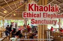 Khao Lak Ethical Elephant Sanctuary Conservation Experience