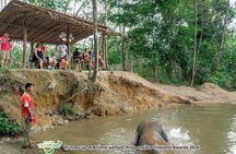 Khao Lak Elephant Sanctuary Tour with Waterfall and Lunch