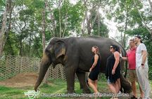 Khao Lak Elephant Sanctuary Tour with Waterfall and Lunch