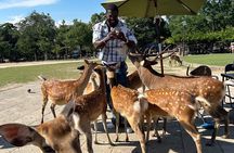 Osaka and Nara Private Car Tour with a Local English Guide Driver