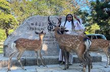 Osaka and Nara Private Car Tour with a Local English Guide Driver