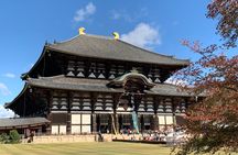 Todaiji Temple Nara Park and Naramachi Alley Walk