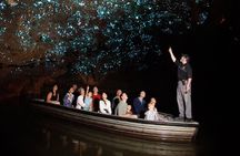 Hobbiton, Waitomo Caves and Kiwi House Day Tour From Auckland