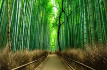 Private Kyoto Sightseeing Tour with Licensed Green-Plate Vehicle