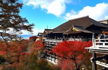Private Kyoto Sightseeing Tour with Licensed Green-Plate Vehicle