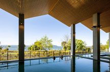 From Auckland Wai Ariki and Rotorua Redwoods Small Group Tour