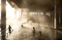 From Auckland Wai Ariki and Rotorua Redwoods Small Group Tour