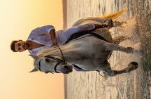 Nabq Beach Horse Riding with Stunning Red Sea Views