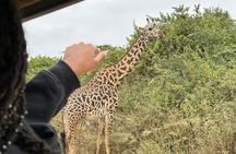 Nairobi National Park Cruiser Half Day Safari