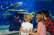 Istanbul Aquarium Admission with Hotel Transfers