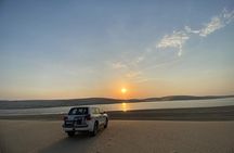 Desert Safari in Doha: Dune Bashing Camel Ride & Sandboarding